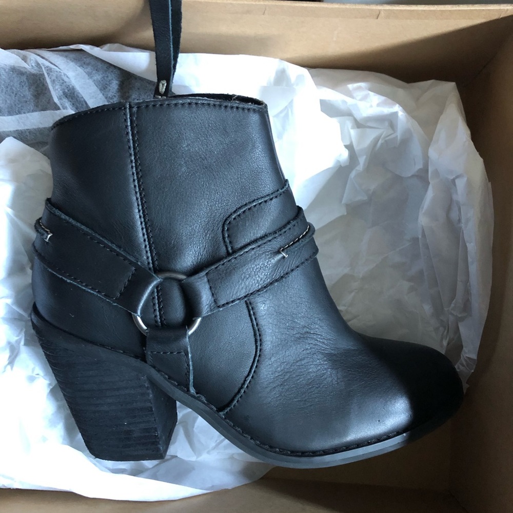 Kelsidaggar Brooklyn /Joona